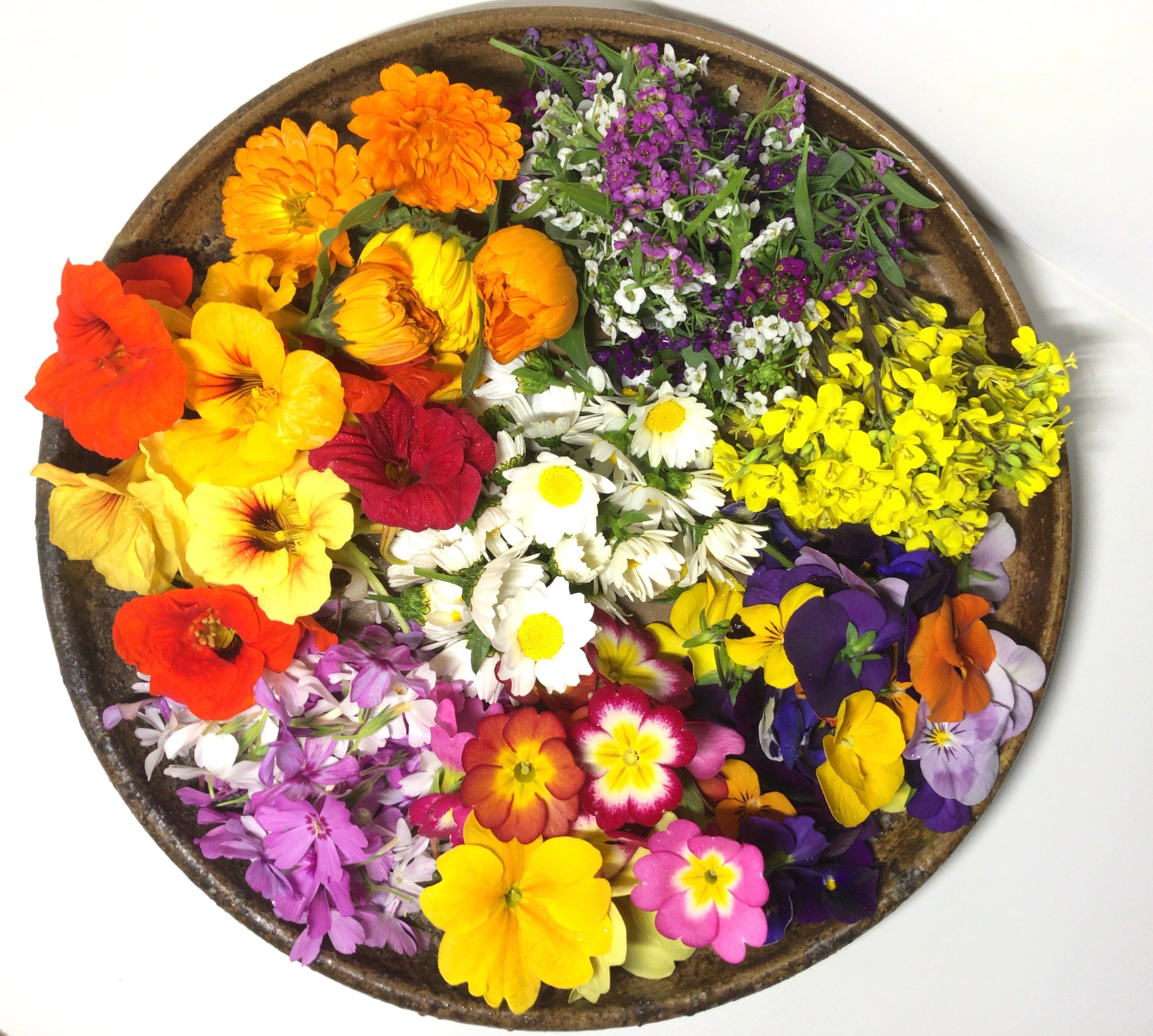 エディブルフラワー – 梶谷農園