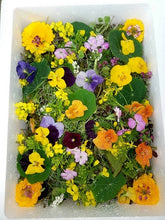 画像をギャラリービューアに読み込む, カジヤスゴイハーブBOX