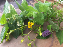 画像をギャラリービューアに読み込む, フレッシュハーブティー500g(Fresh Herb Tea)