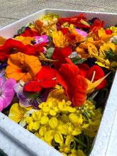 画像をギャラリービューアに読み込む, 母の日ギフトボックス