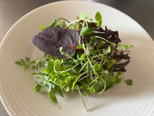 Load image into Gallery viewer, macro micro mix マクロマイクロミックス