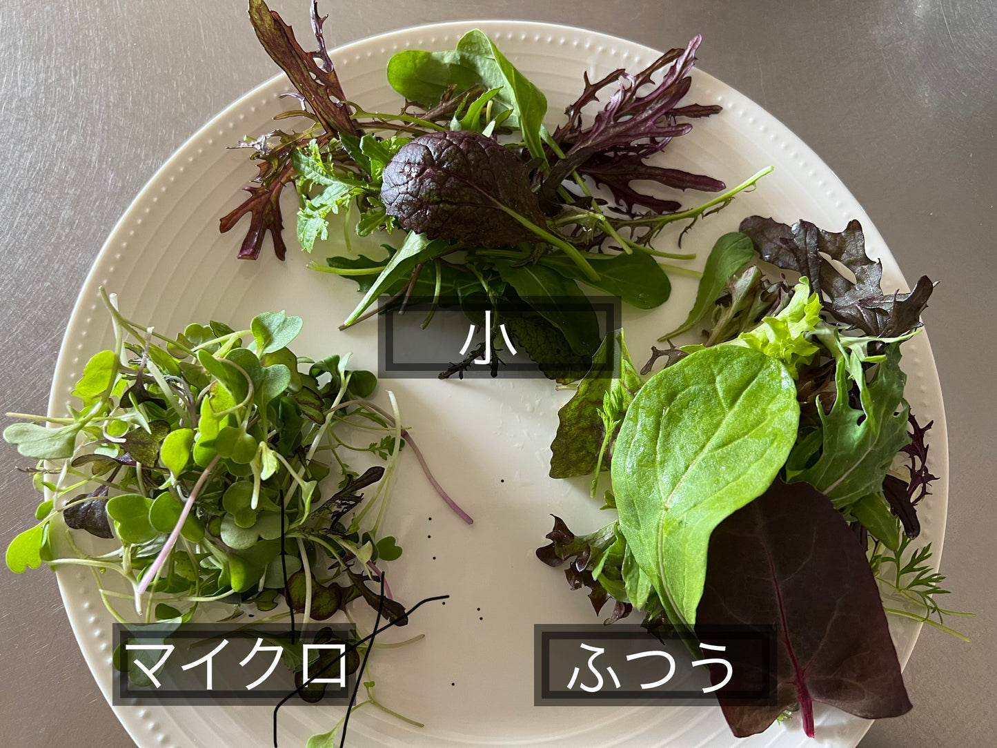 macro micro mix マクロマイクロミックス