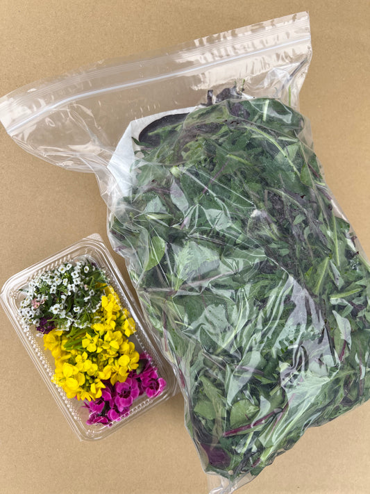 終了。39%オフ お友達紹介してください！ベビーリーフとエディブルフラワー