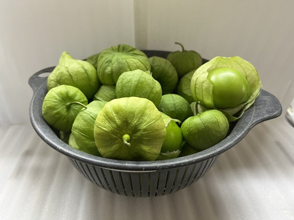 トマティーヨ – 梶谷農園