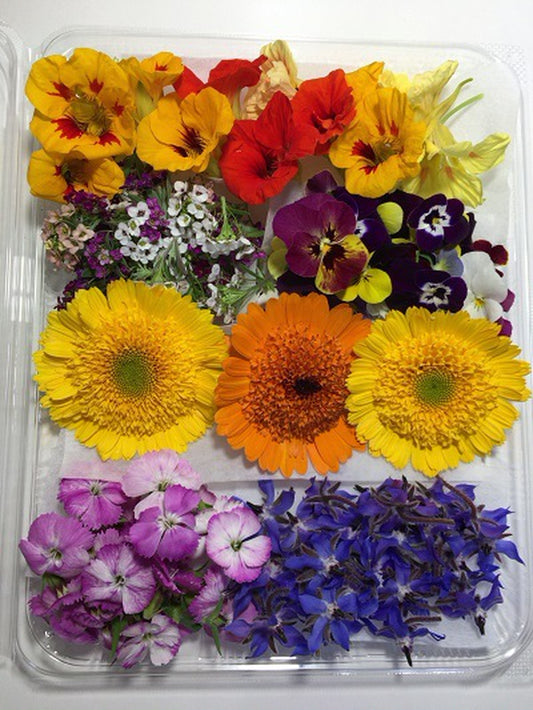 お花おまかせセット