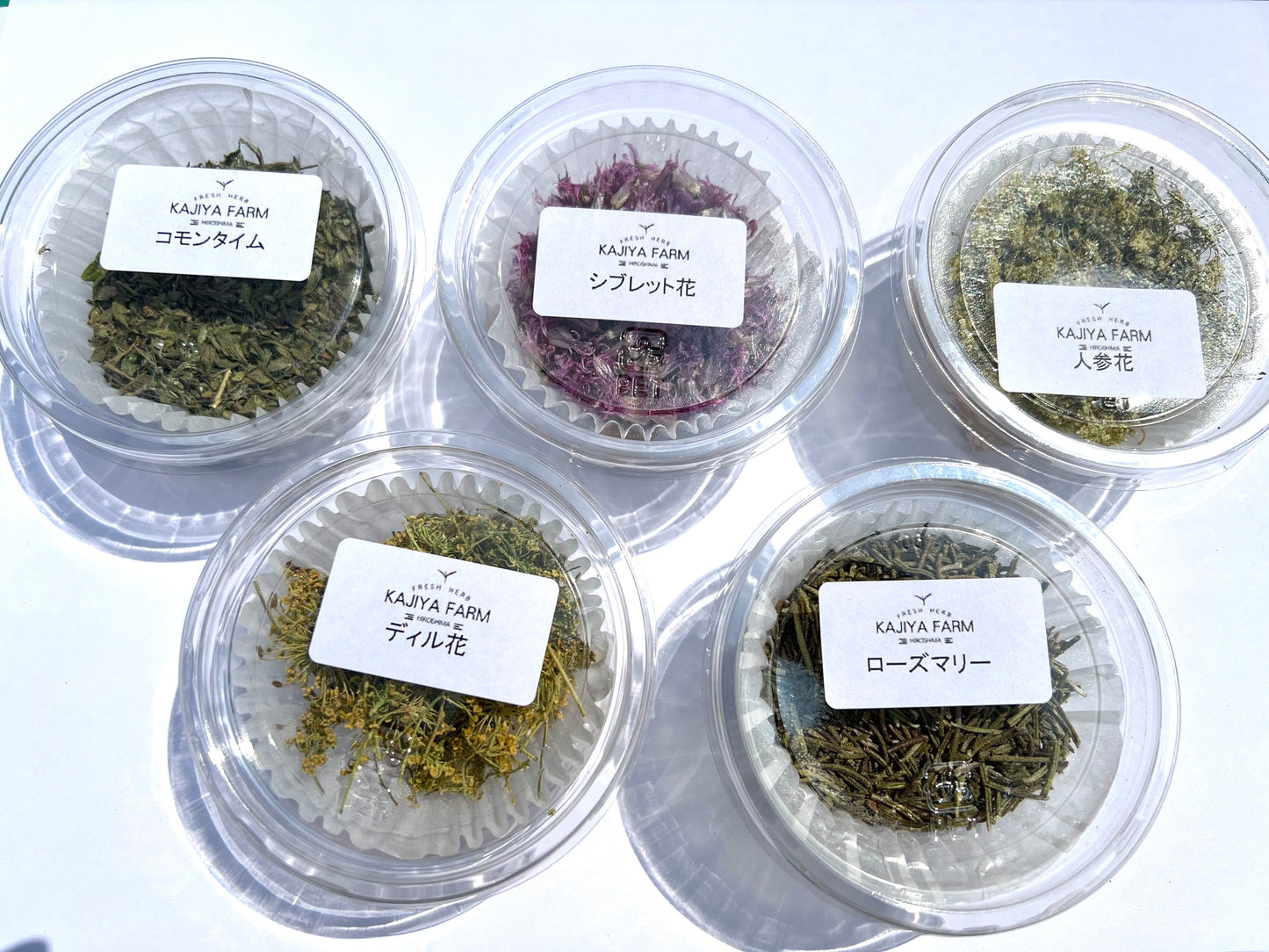 ドライハーブ5個セット