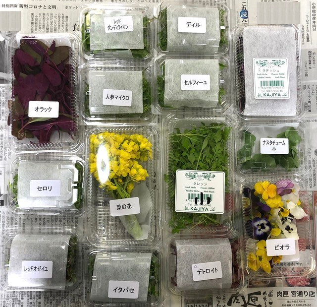 おまかせセット