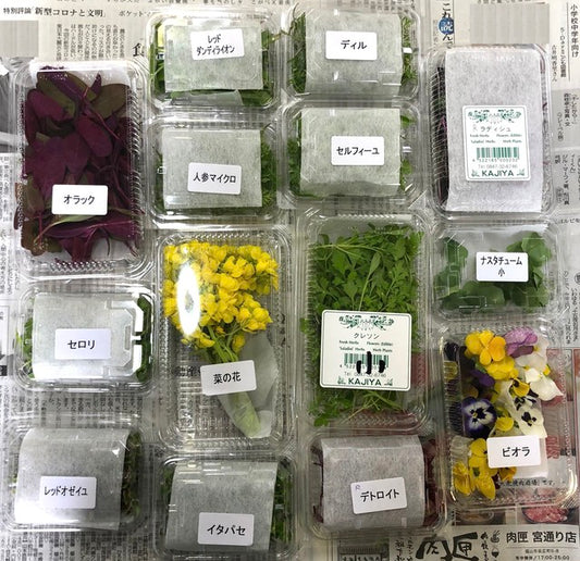 おまかせセット