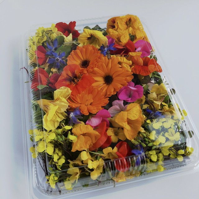 カジヤスゴイハーブBOXハーフ(Kajiya Sugoi Herb Box Half)