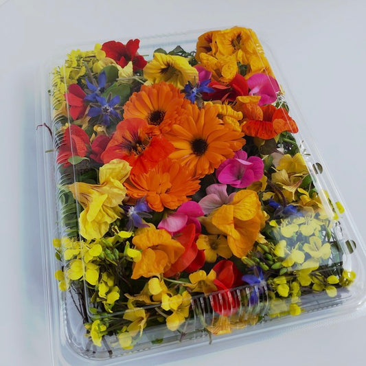 カジヤスゴイハーブBOXハーフ(Kajiya Sugoi Herb Box Half)